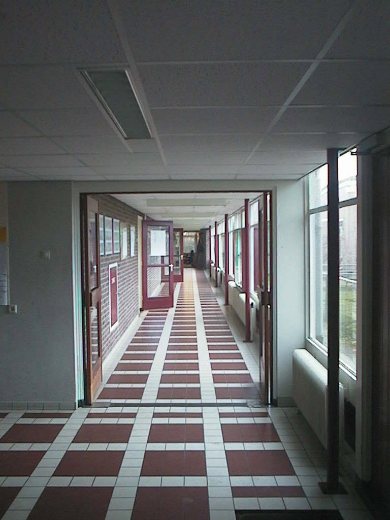 lange gang