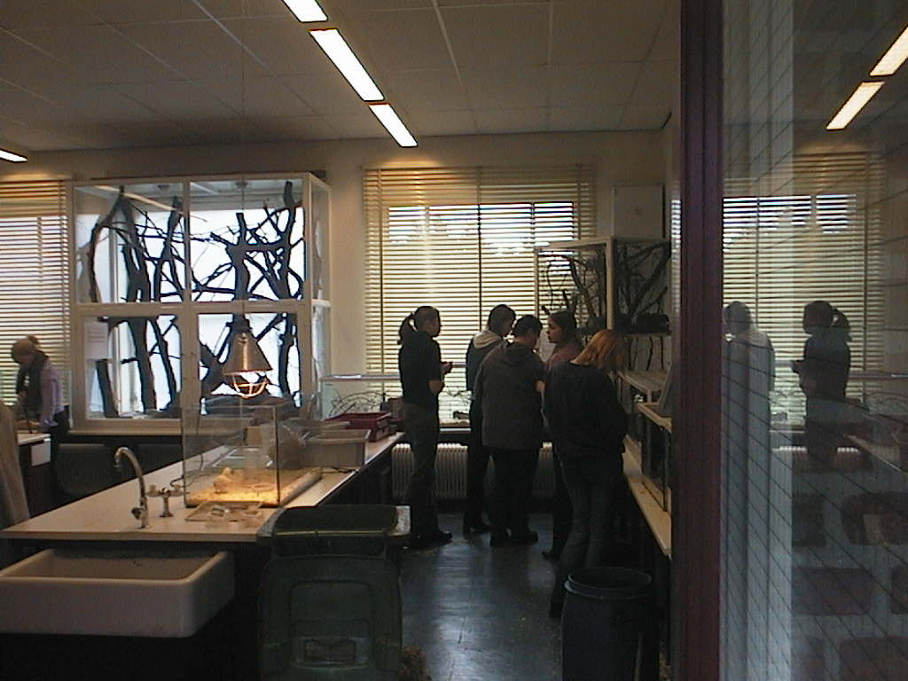 dierverzorging