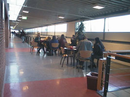 zitje paardenhouderij
